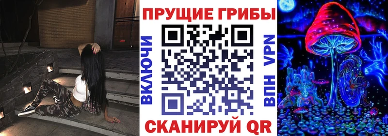 Псилоцибиновые грибы Psilocybine cubensis  KRAKEN tor  Кукмор  даркнет сайт 